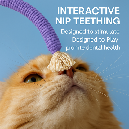 ChewN’Play Cat Rope